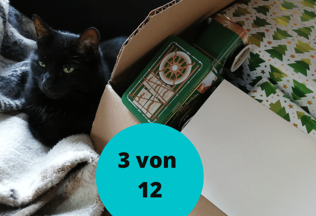 3 von 12: Katze bewacht Geschenke