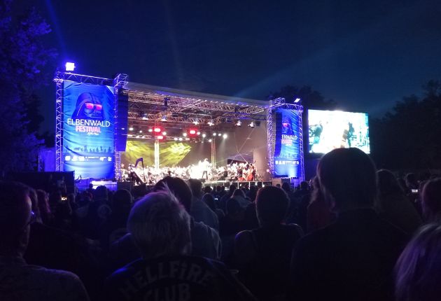 Konzert auf der Bühne des Elbenwald Festivals.