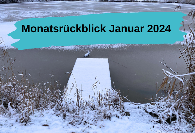 verschneiter Steg am Weiher, dazu Schrift: "Monatsrückblick Januar 2024"